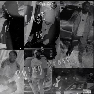 Last of a Dying Breed cover art