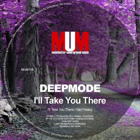 I'll Take You There (Original Mix) cover art