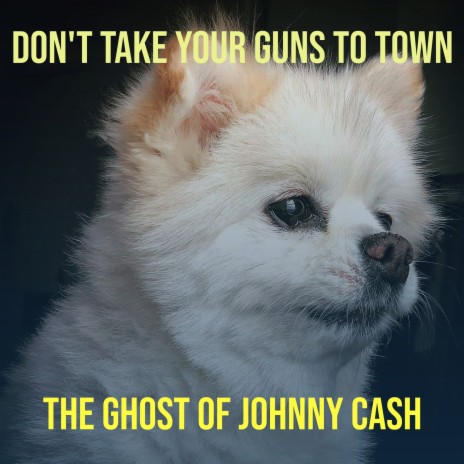 Don't Take Your Guns to Town cover art