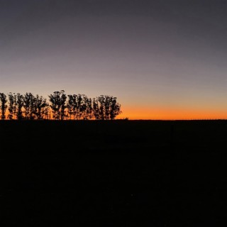 En el medio del campo