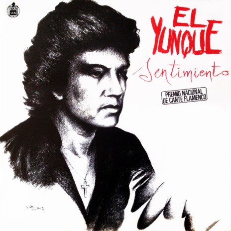 Grande fue el daño (Seguiriyas) cover art