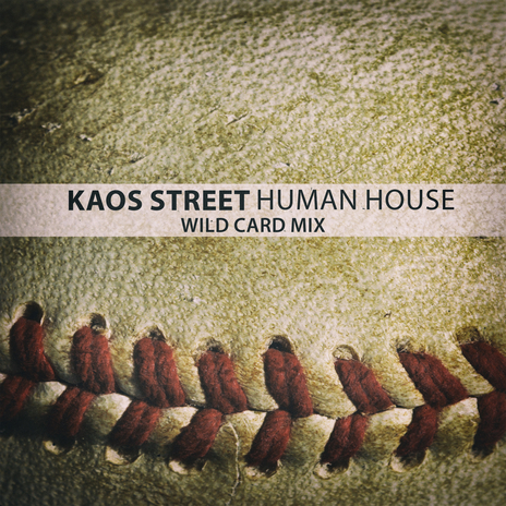 Kaos Street (Wild Card Mix) cover art