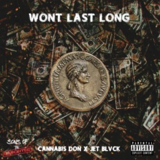 Won't Last Long (feat. Jet Blvck) cover art
