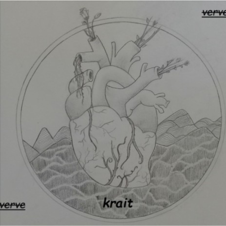 Fora da Caixa cover art