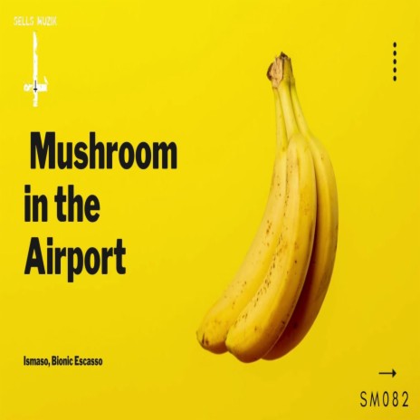 Mushroom in the Airport (Original Mix) ft. Bionic Escasso cover art