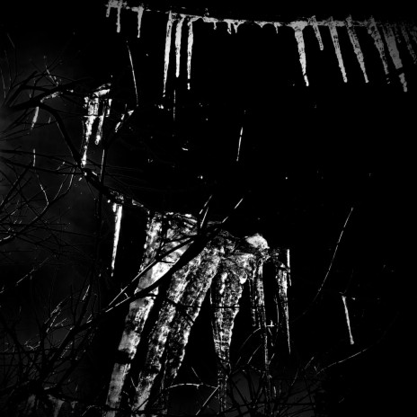 A Glimpse of the Future in Black & White cover art