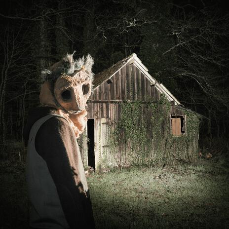 À L'AGONIE cover art