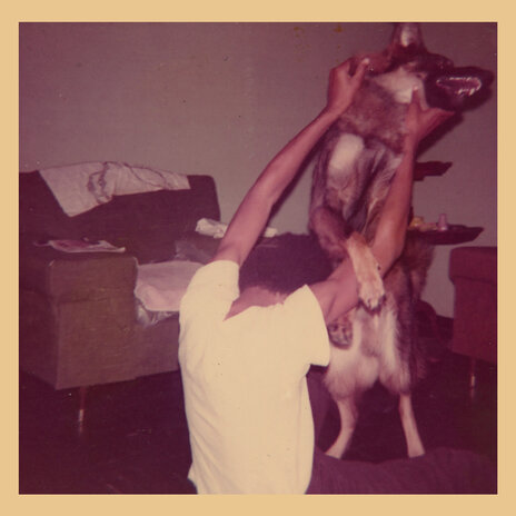 Sardonyx ft. Pink Siifu, Quelle Chris & billy woods cover art