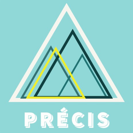 précis cover art