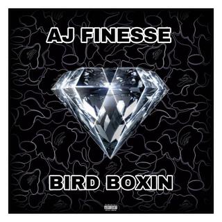 Bird Boxin