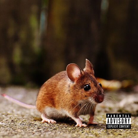 RATOS
