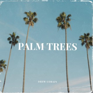 Palm Trees (Radio Edit) cover art