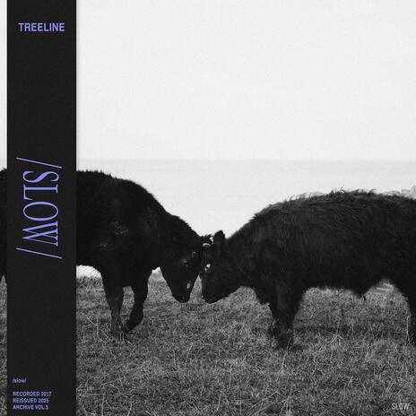 OOO cover art