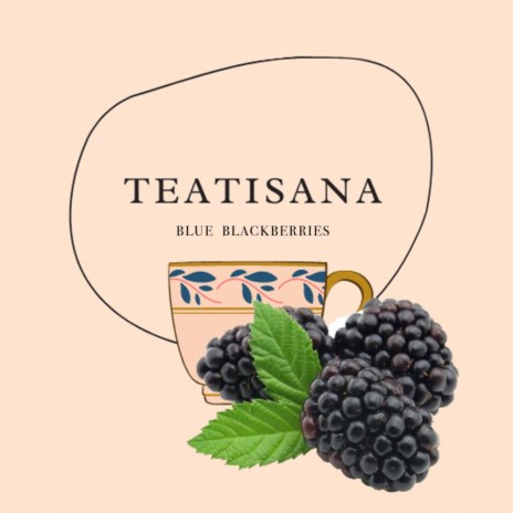 Blue Blackberries (LoFi Dream) cover art