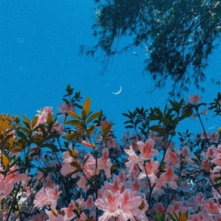 Wait! cover art