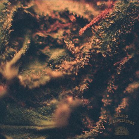 Sleeprain pt. II. ft. Diablo in Alpujarras cover art