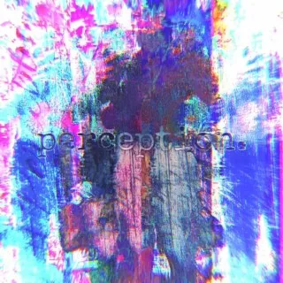 PERCEPTION cover art