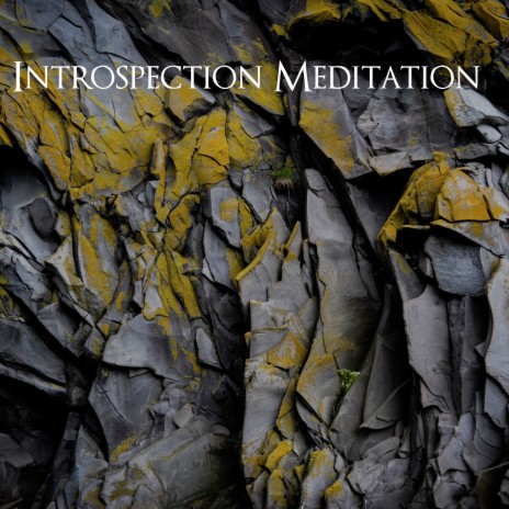 Introspection Meditation cover art