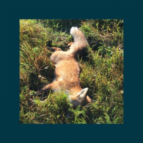Wading cover art