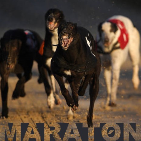 Maratón ft. Charlie Hijos Bastardos & Nasta cover art