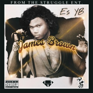 James Brown cover art