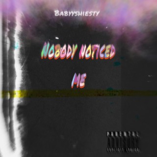 Nobody Noticed Me