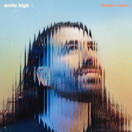 Soft Landing cover art