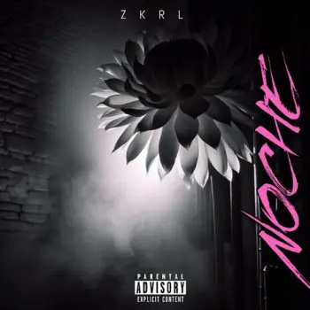 Noche cover art