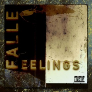 Feelings
