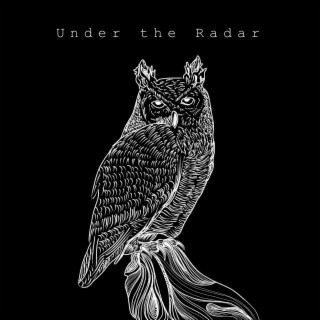 Under the Radar