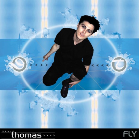 Fly cover art