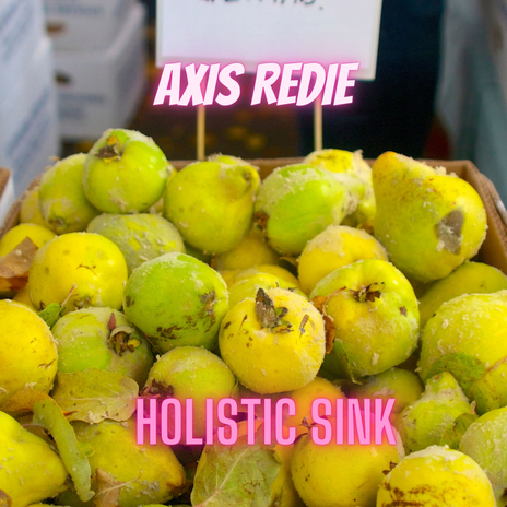 Holistic Sink cover art