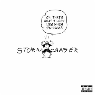 Stormchaser cover art