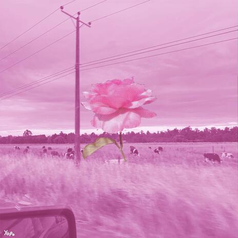 ciudadgrishard.wav ft. yuvngnik & MISUNE cover art