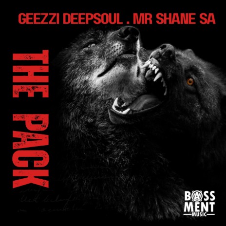 The Pack ft. Mr Shane SA cover art