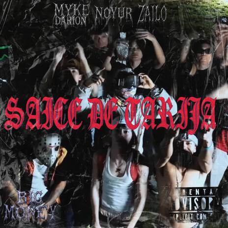 SAICE DE TARIJA ft. NOYUR & MYKE DARION cover art