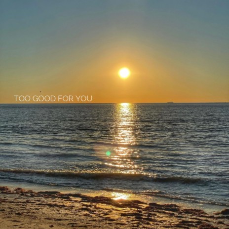Too Good for You cover art