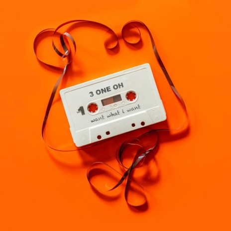 Want What I Want cover art