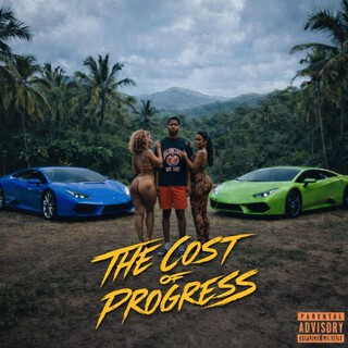 The Cost Of Progress