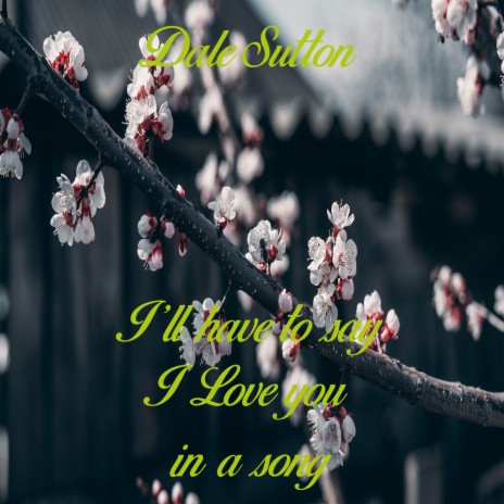 I'll Have To Say I Love You In A Song (Acoustic) cover art