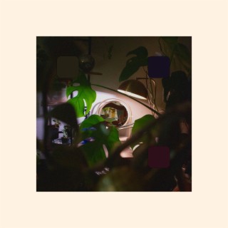 Lemmetellu cover art