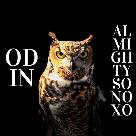 ODIN (Instrumental) ft. Sonoxo cover art