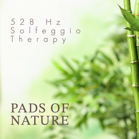 528 Hz Balance In Life