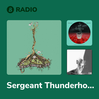 Sergeant Thunderhoof Radio