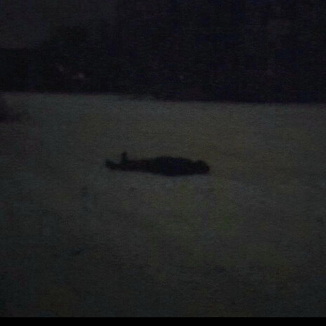 530 In The Snow cover art