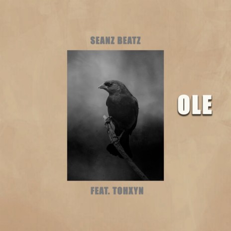 Ole ft. Tohxyn cover art