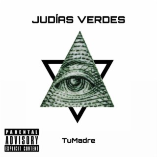 JUDÍAS VERDES