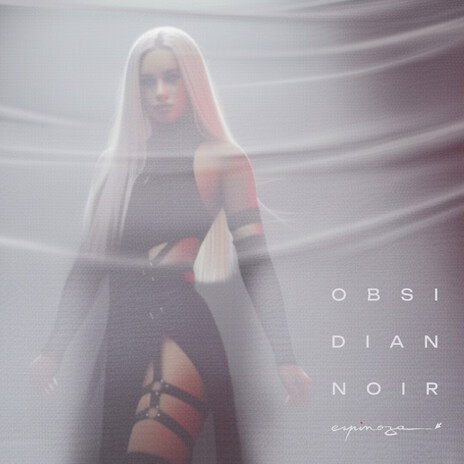 Pulse-Chamber cover art