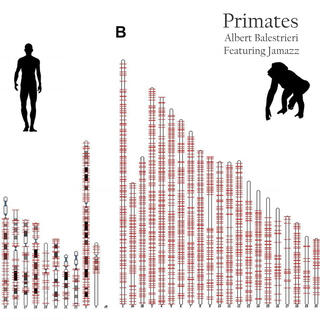 Primates