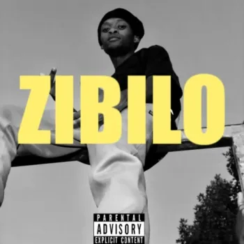 Ziblo cover art